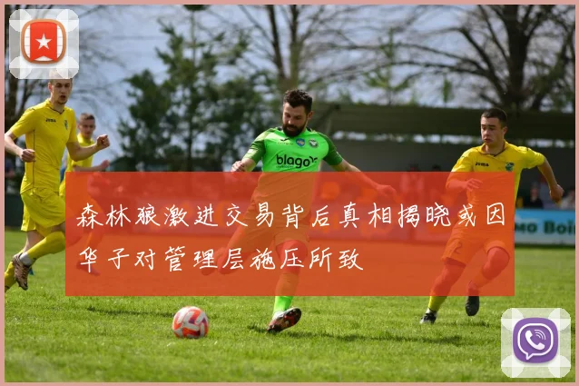 森林狼激进交易背后真相揭晓或因华子对管理层施压所致