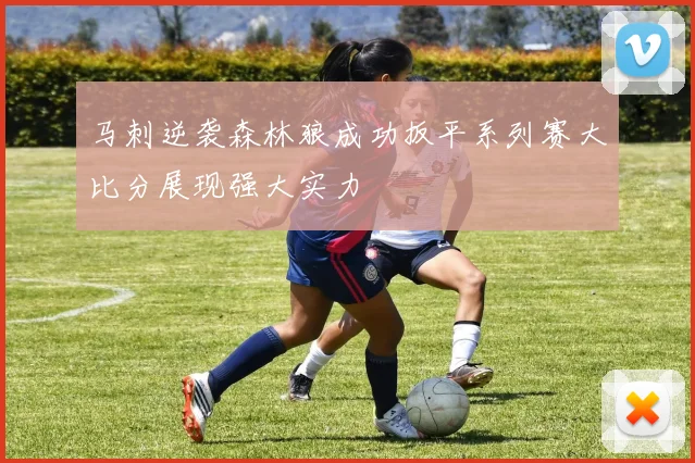 马刺逆袭森林狼成功扳平系列赛大比分展现强大实力