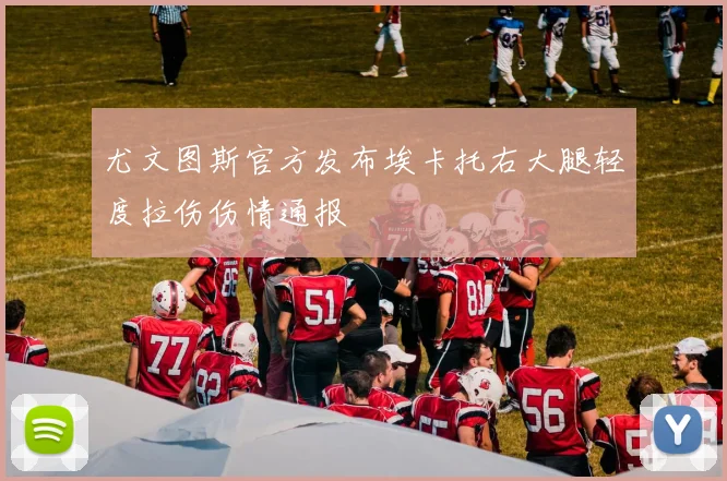 尤文图斯官方发布埃卡托右大腿轻度拉伤伤情通报