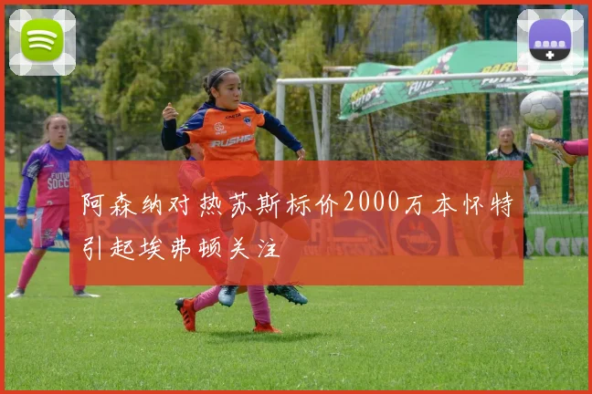 阿森纳对热苏斯标价2000万本怀特引起埃弗顿关注