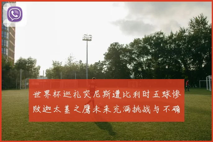 世界杯巡礼突尼斯遭比利时五球惨败迦太基之鹰未来充满挑战与不确定性